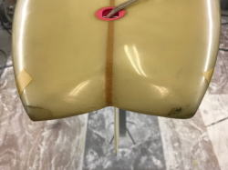 �e�C�� Brewer 38_1